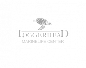 Loggerhead Marinelife Center