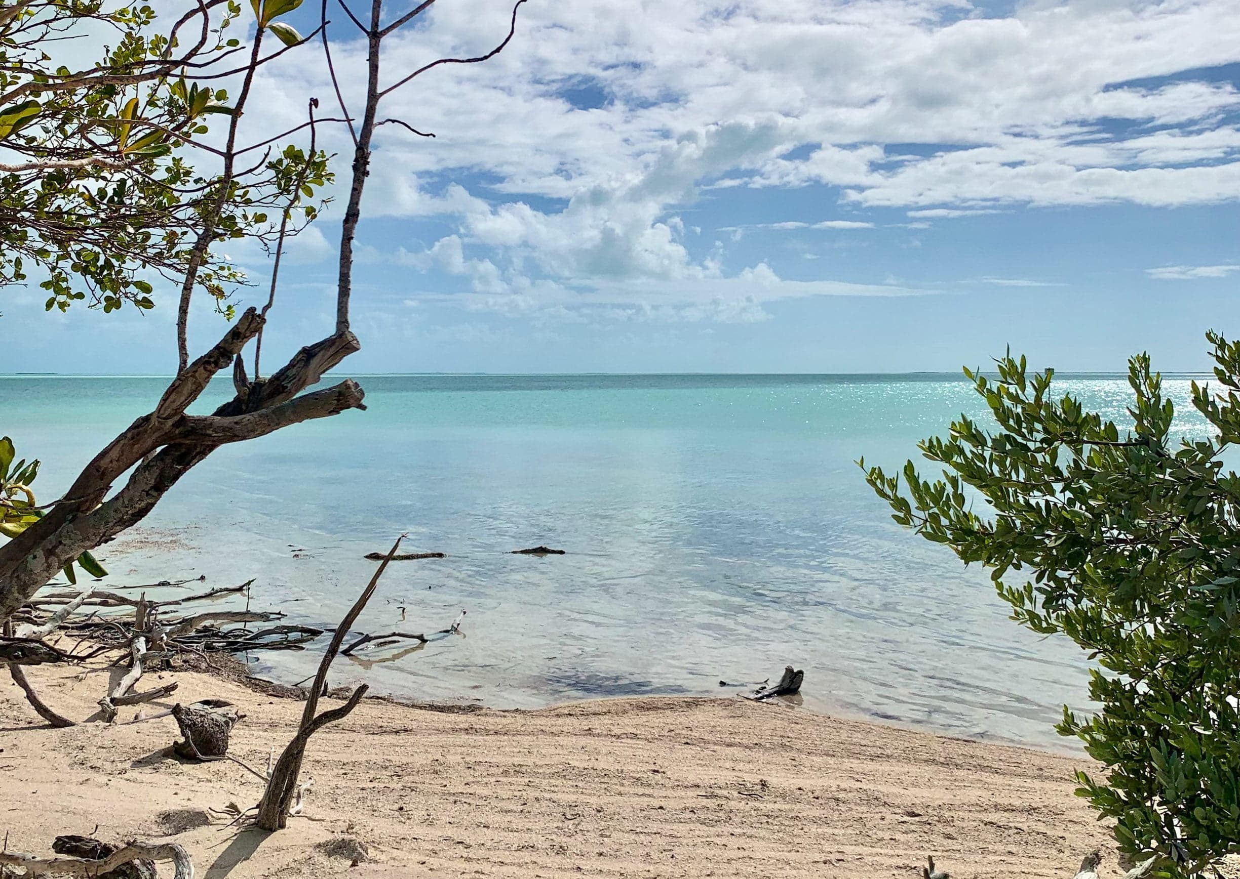 MarineLab adds Free Learning Resources